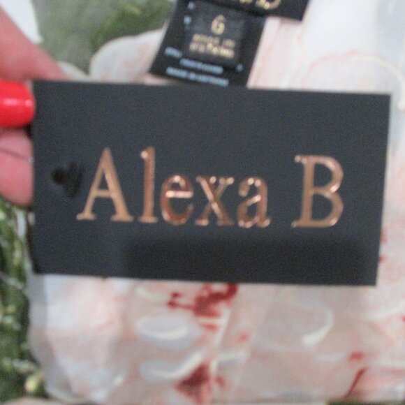 Alexa B Long Sleeve Floral Print V-Neck Maxi Dress - Picture 6 of 6